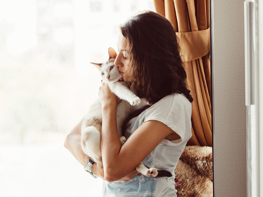 Why Do Cats Purr So Much? Find Out the Main Reasons · Kinship