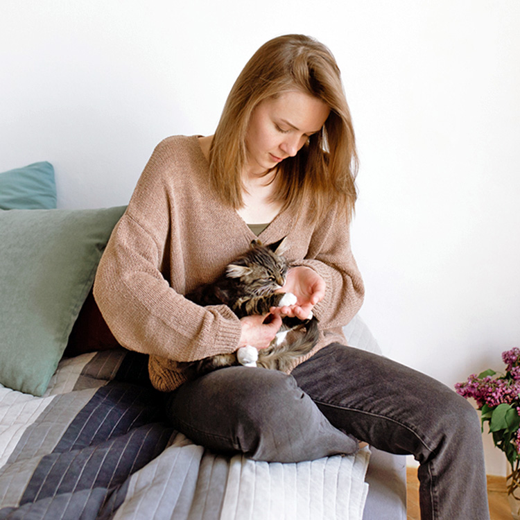 Why Does My Cat Sound Congested? 5 Reasons Why · Kinship