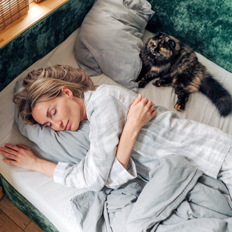 Why Does My Cat Watch Me Sleep? The Behavior Explained · Kinship