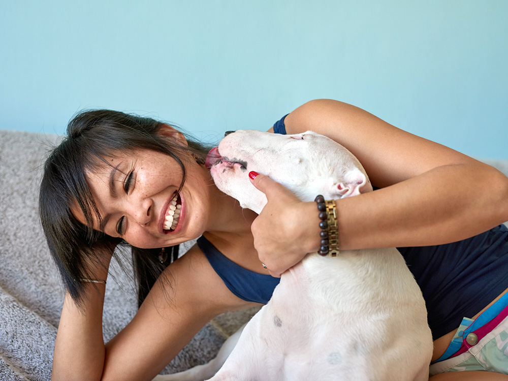 Why Does My Dog Lick My Ears? Experts Comment · Kinship