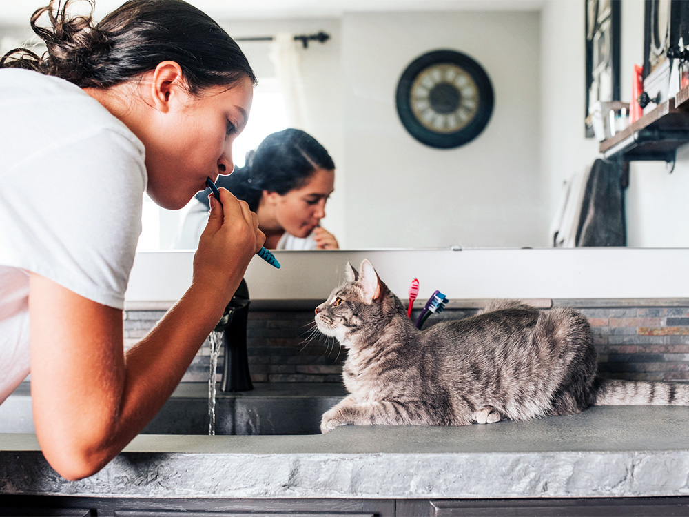 Why Does Your Cat Follow You to The Bathroom? Top Reasons · Kinship