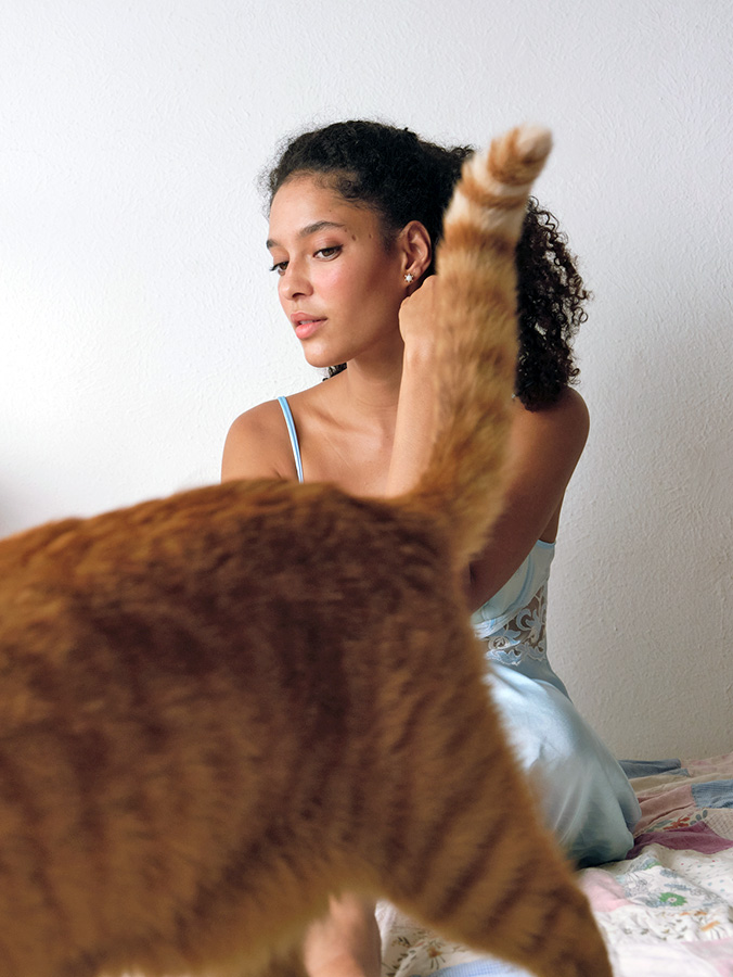 Why Does Your Cat Pee on Your Bed? The Problem, Explained · Kinship