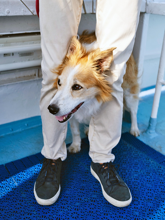 Why Does Your Dog Go Between Your Legs? Reasons They Do It · Kinship