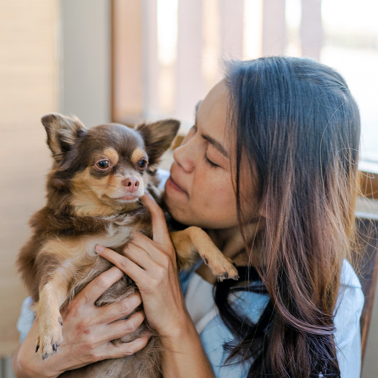 Why Does Your Dog Snort Like a Pig? Learn More · Kinship