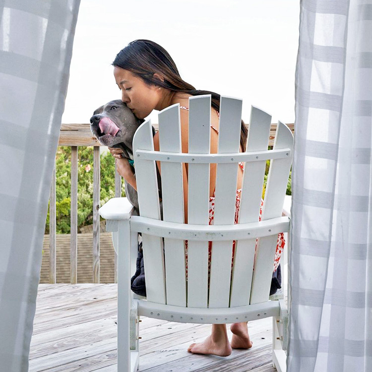 8 AAPI-Owned Pet Brands to Shop This Month