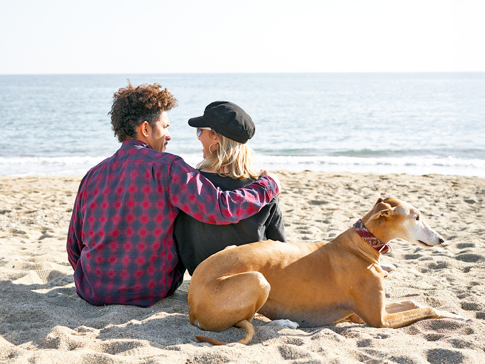 8 Signs Your Dog Is an Introvert · Kinship