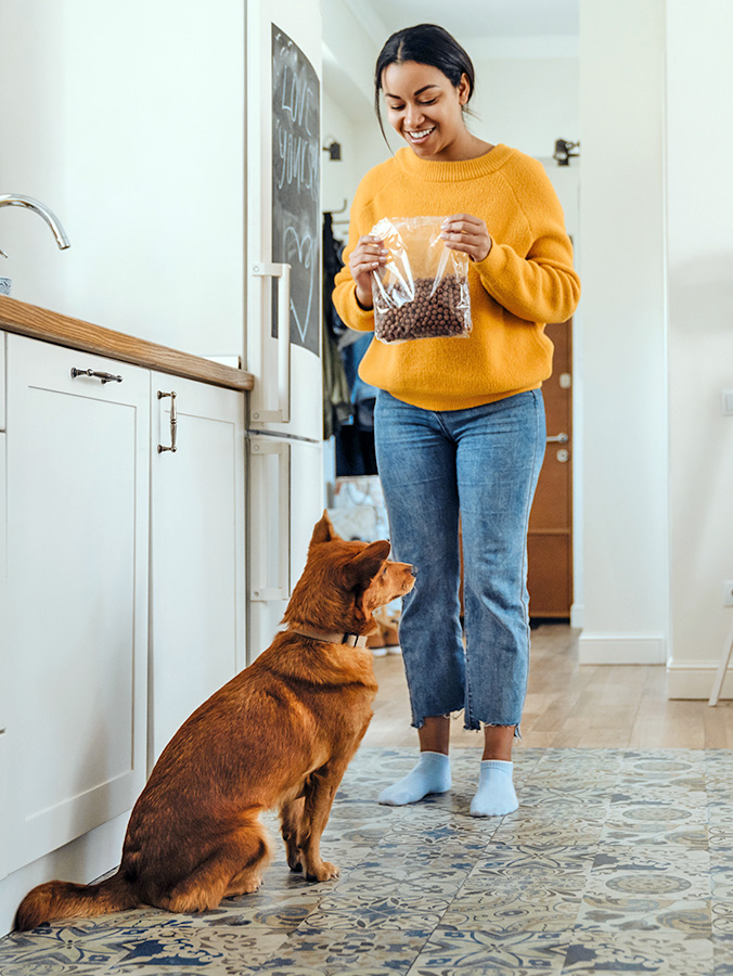 Is a Grain-Free Diet Good For Dogs? Find Out the Scoop · Kinship