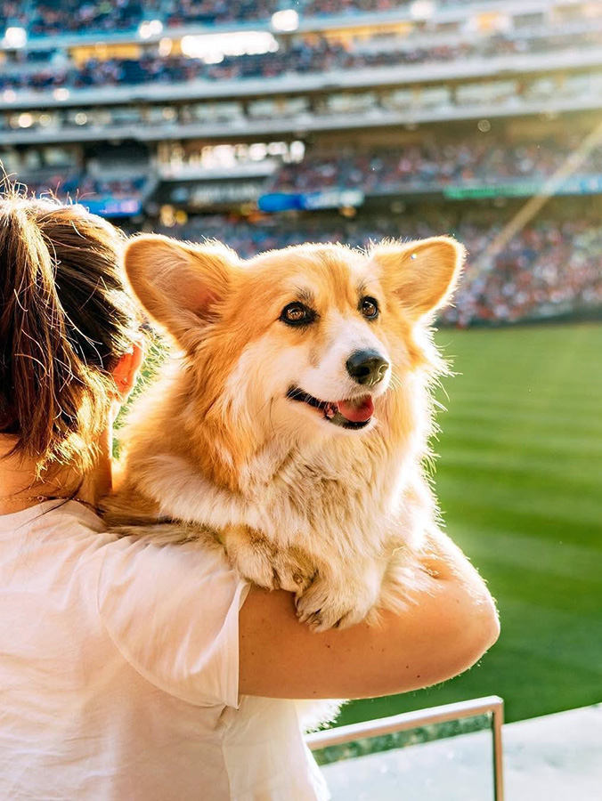 Major League Baseball Games You Can Bring Your Dog to in 2025 · Kinship