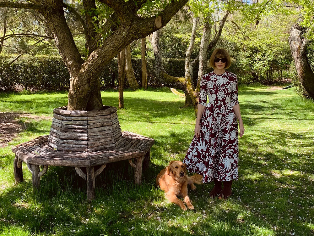 Vogue’s Anna Wintour Is a Secret Softie (At Least When It Comes to Her Dogs) · Kinship