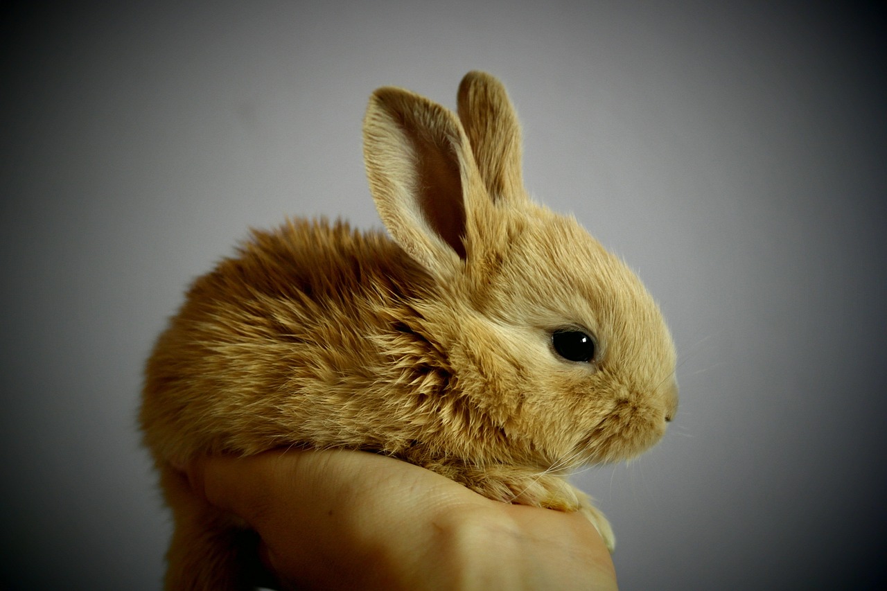 Rewire Habits: The Science Of Positive Reinforcement