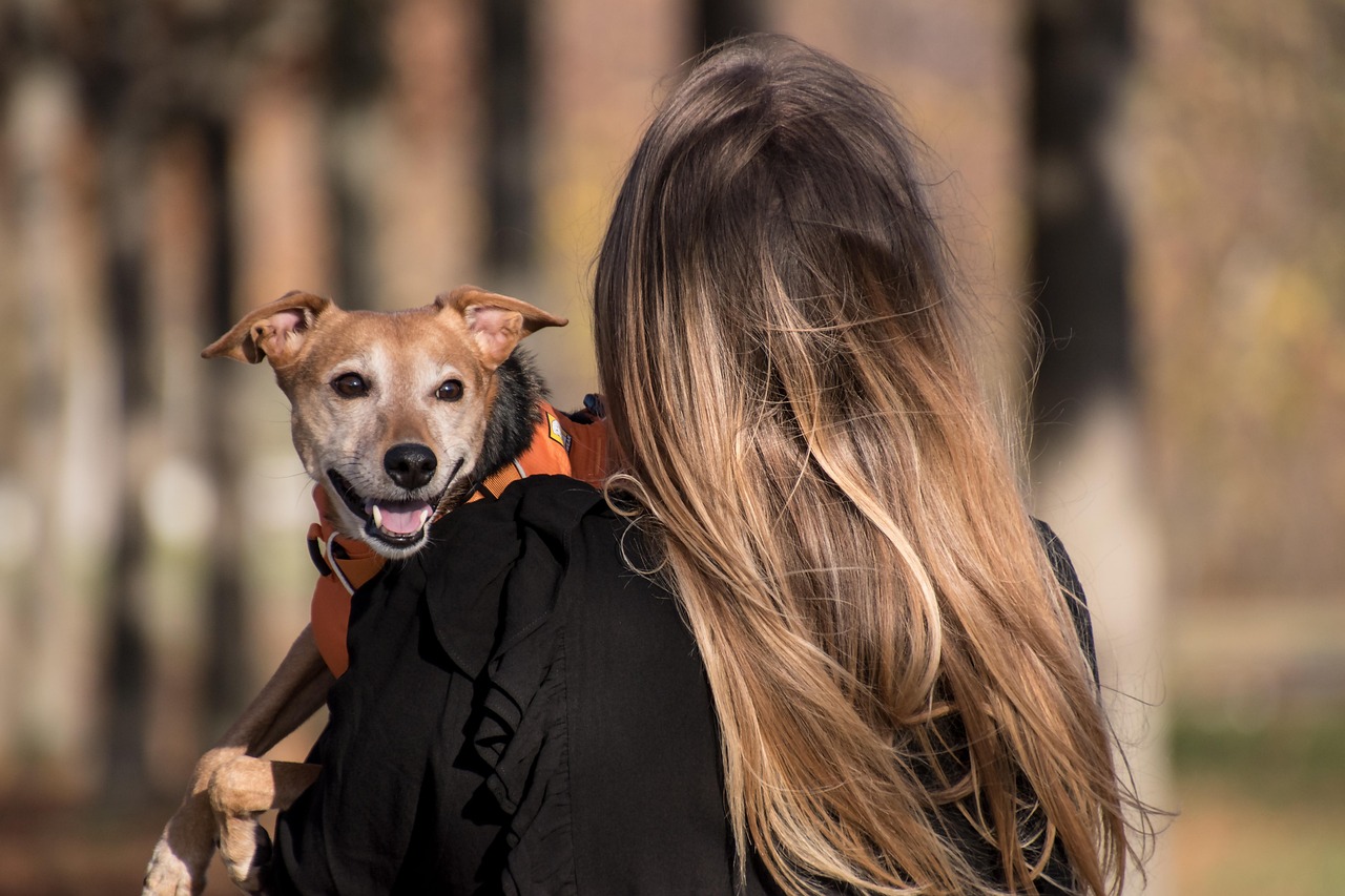 Unleash Joy: Creative Pet Activities For Every Lifestyle